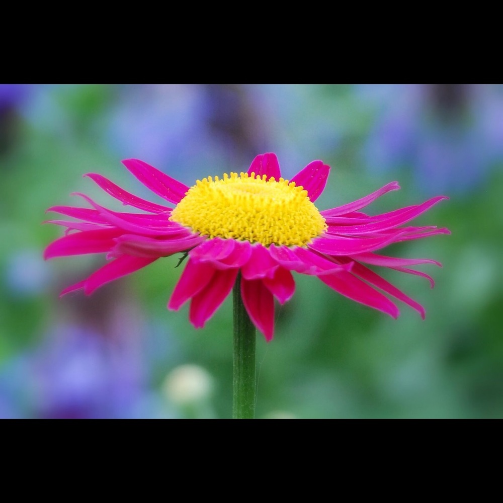 Meet your Posher, Studio 3:5and6